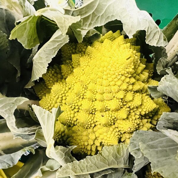 BROCCOFLOWER-NZ