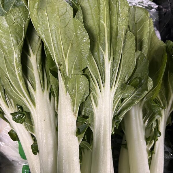 CABBAGE-BOK CHOI-NZ
