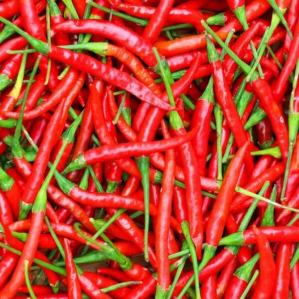 CHILLIES-RED-NZ