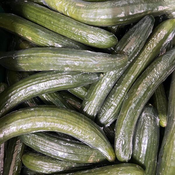 CUCUMBER-25CT CASE T2 TELE-NZ