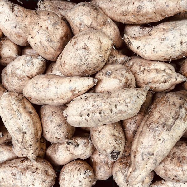 KUMARA-GOLD-NZ