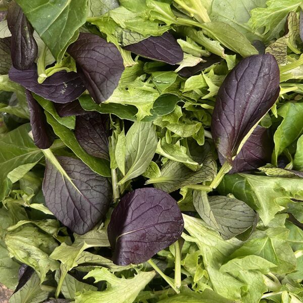 MESCLUN-LOOSE-NZ