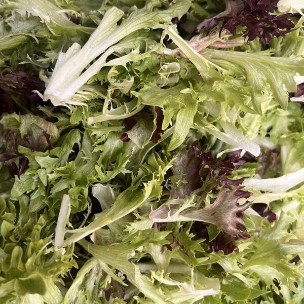 GARDEN SALAD-LOOSE-NZ