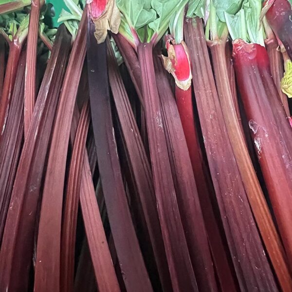 RHUBARB-LOOSE-NZ