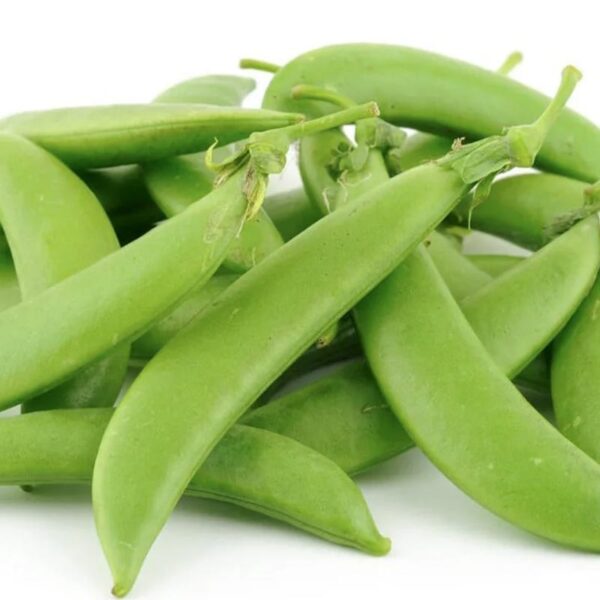 SNOW PEAS-PACK-NZ/AUS/ZIM/USA