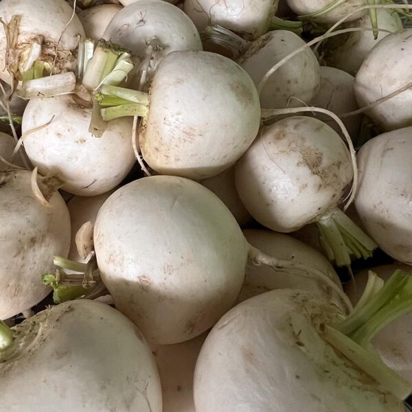 TURNIPS-LARGE WHITE-NZ