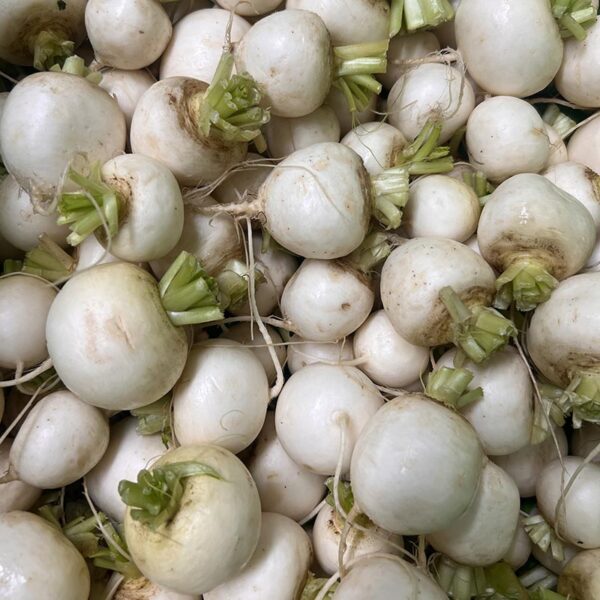 TURNIPS-BABY-NZ