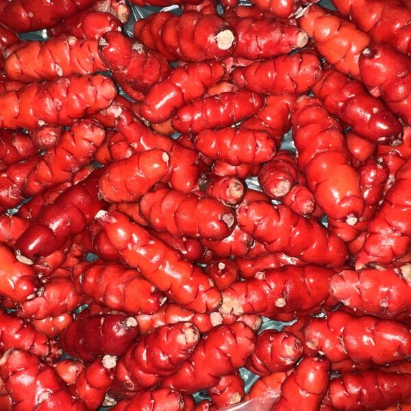 YAMS-RED-NZ