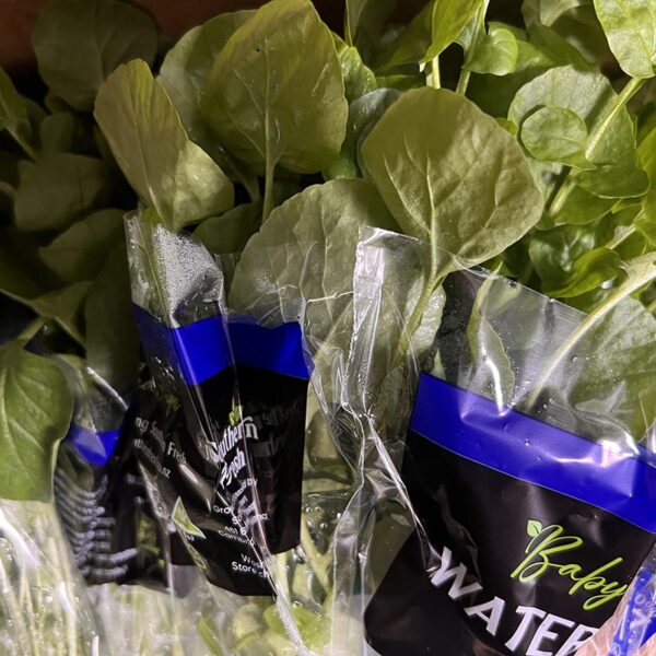 WATERCRESS-HYDRO-NZ