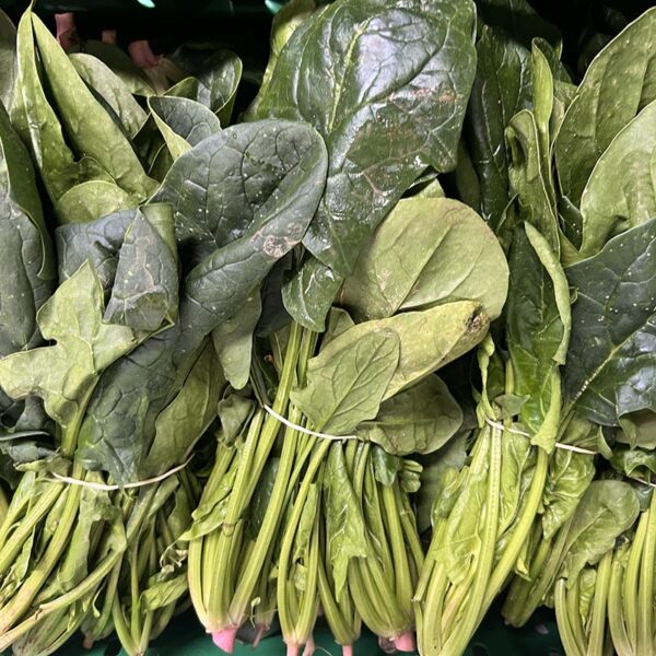 SPINACH-PACK-NZ