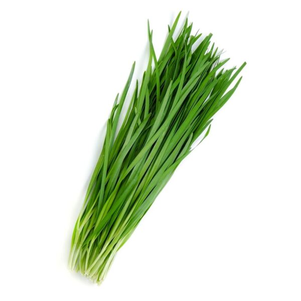 HERB-100G GAR CHIVE PREMIUM-NZ