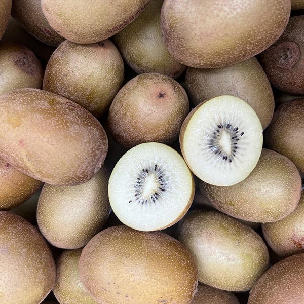 KIWIFRUIT-GOLD-NZ