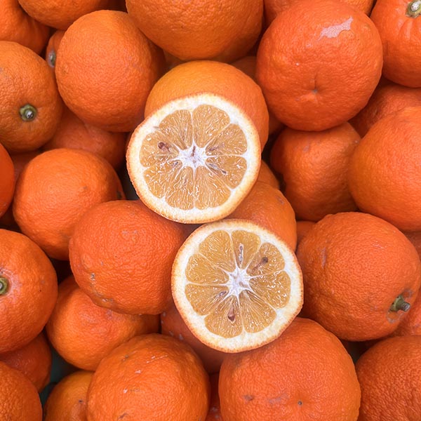 ORANGES-SEVILLE-NZ