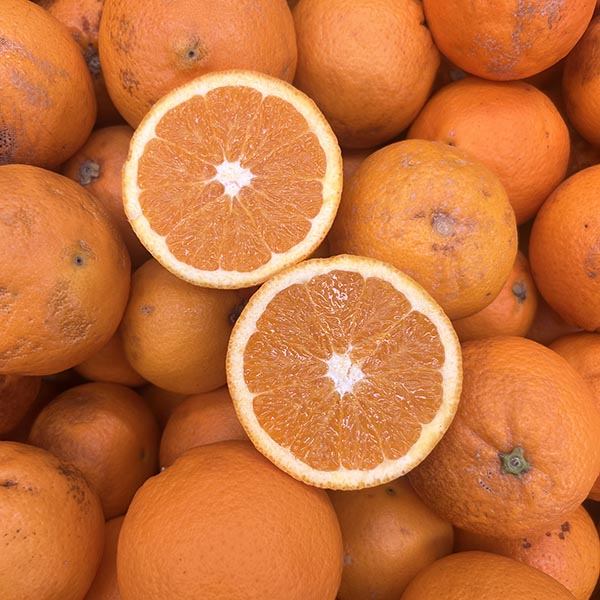 ORANGES-TAG 2-NZ/AUS/USA