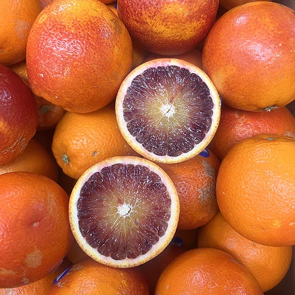 ORANGES-BLOOD-NZ/AUS/USA