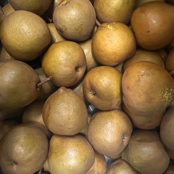 PEARS-COLE or NELIS